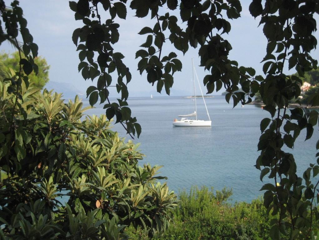 Diha Korčula